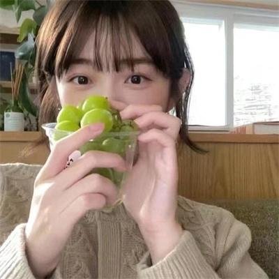 雍正王朝